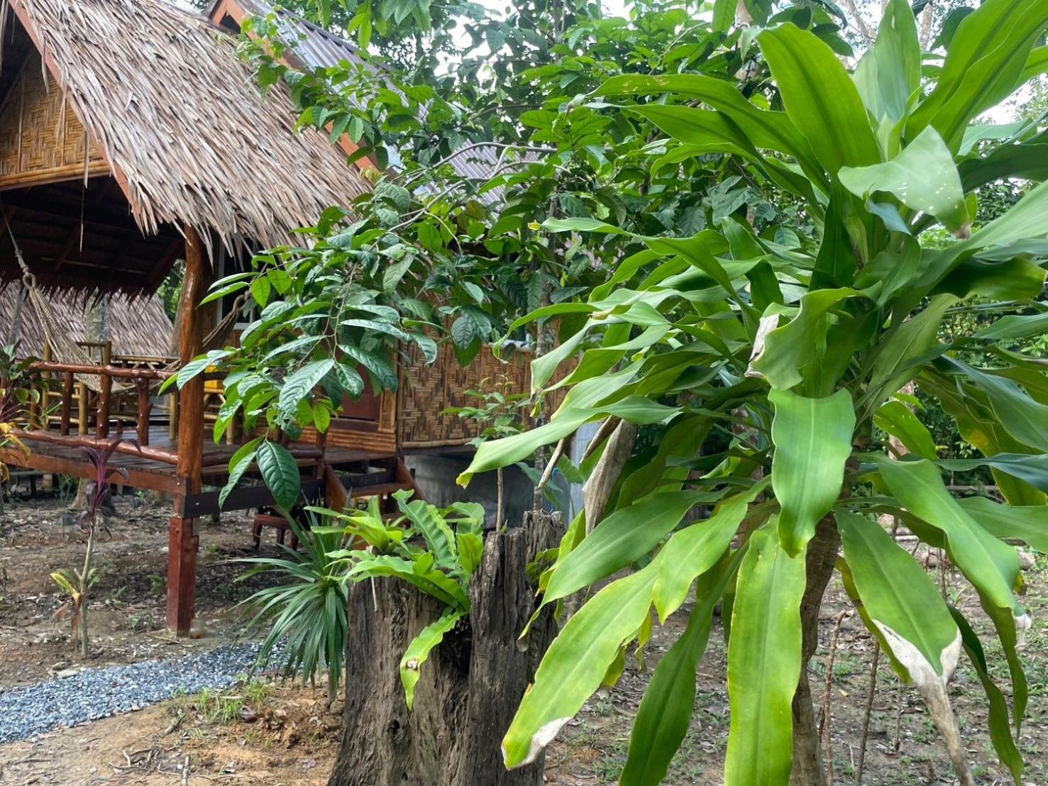 Dahla Lanta Hut Leilighet Ko Lanta Eksteriør bilde